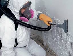 Best Mold Prevention Services  in Whitwell, TN